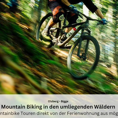 Ferienwohnungen Sauerland Und オルスベルク エクステリア 写真