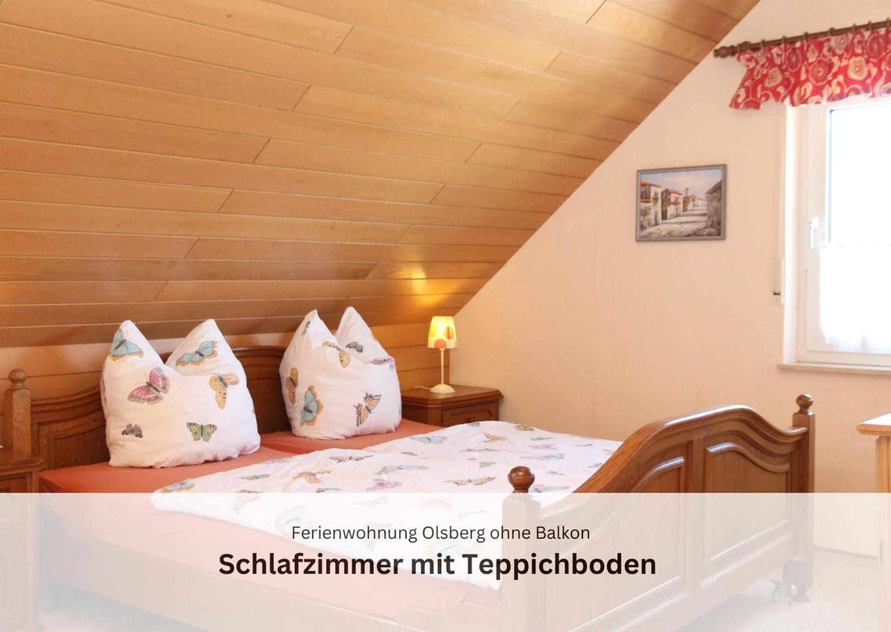 Ferienwohnungen Sauerland Und オルスベルク エクステリア 写真
