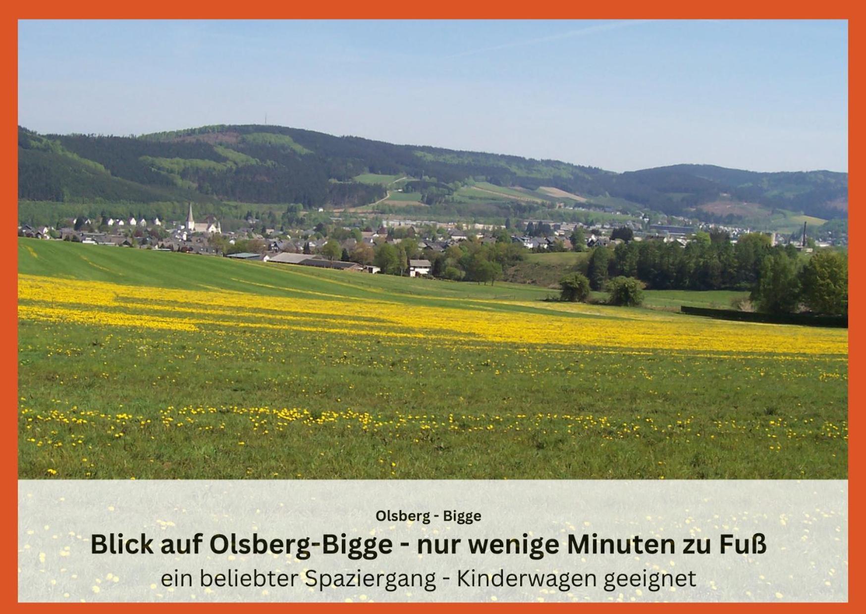Ferienwohnungen Sauerland Und オルスベルク エクステリア 写真