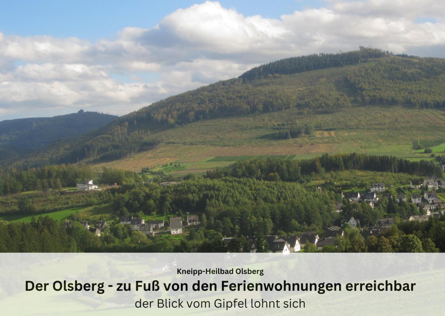 Ferienwohnungen Sauerland Und オルスベルク エクステリア 写真