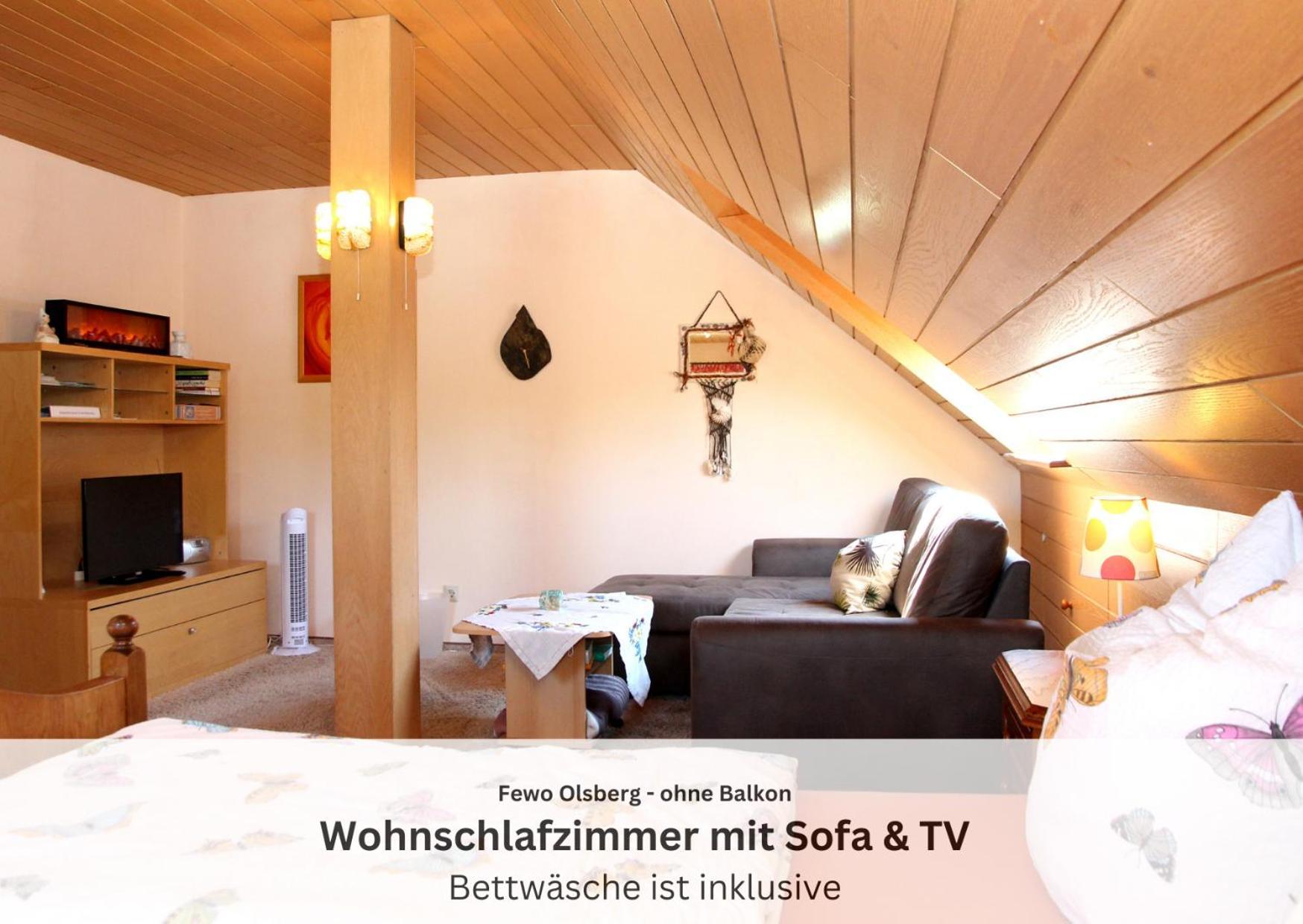 Ferienwohnungen Sauerland Und オルスベルク エクステリア 写真