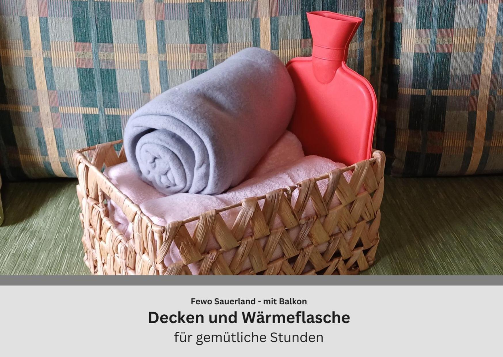 Ferienwohnungen Sauerland Und オルスベルク エクステリア 写真