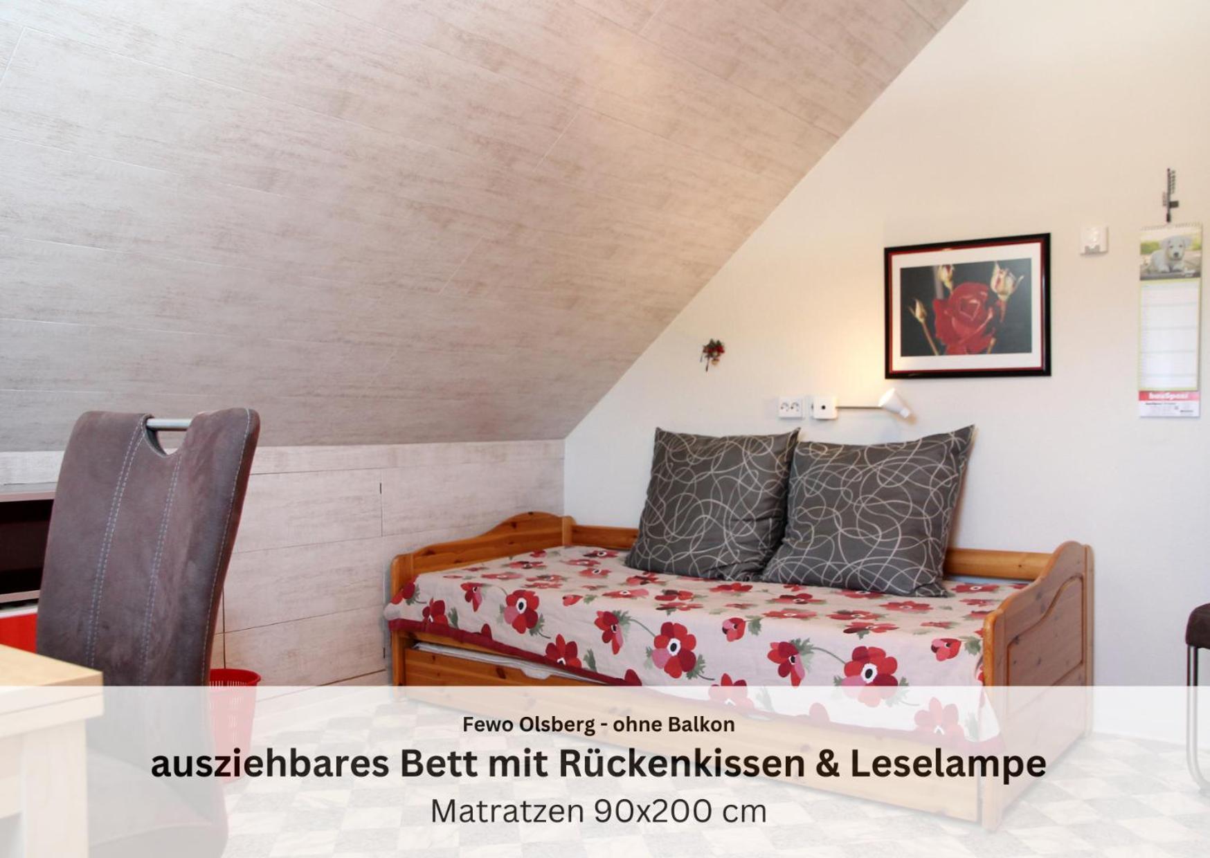 Ferienwohnungen Sauerland Und オルスベルク エクステリア 写真