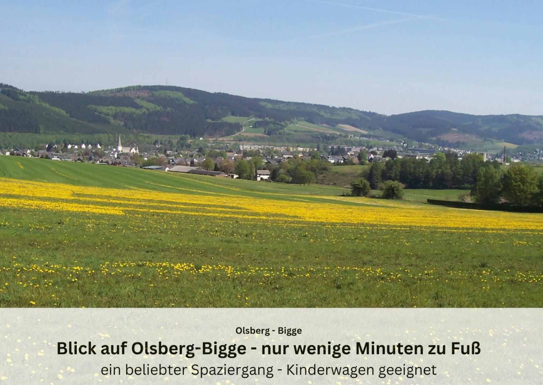 Ferienwohnungen Sauerland Und オルスベルク エクステリア 写真