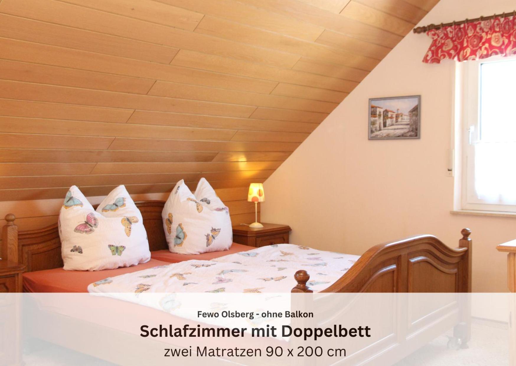Ferienwohnungen Sauerland Und オルスベルク エクステリア 写真