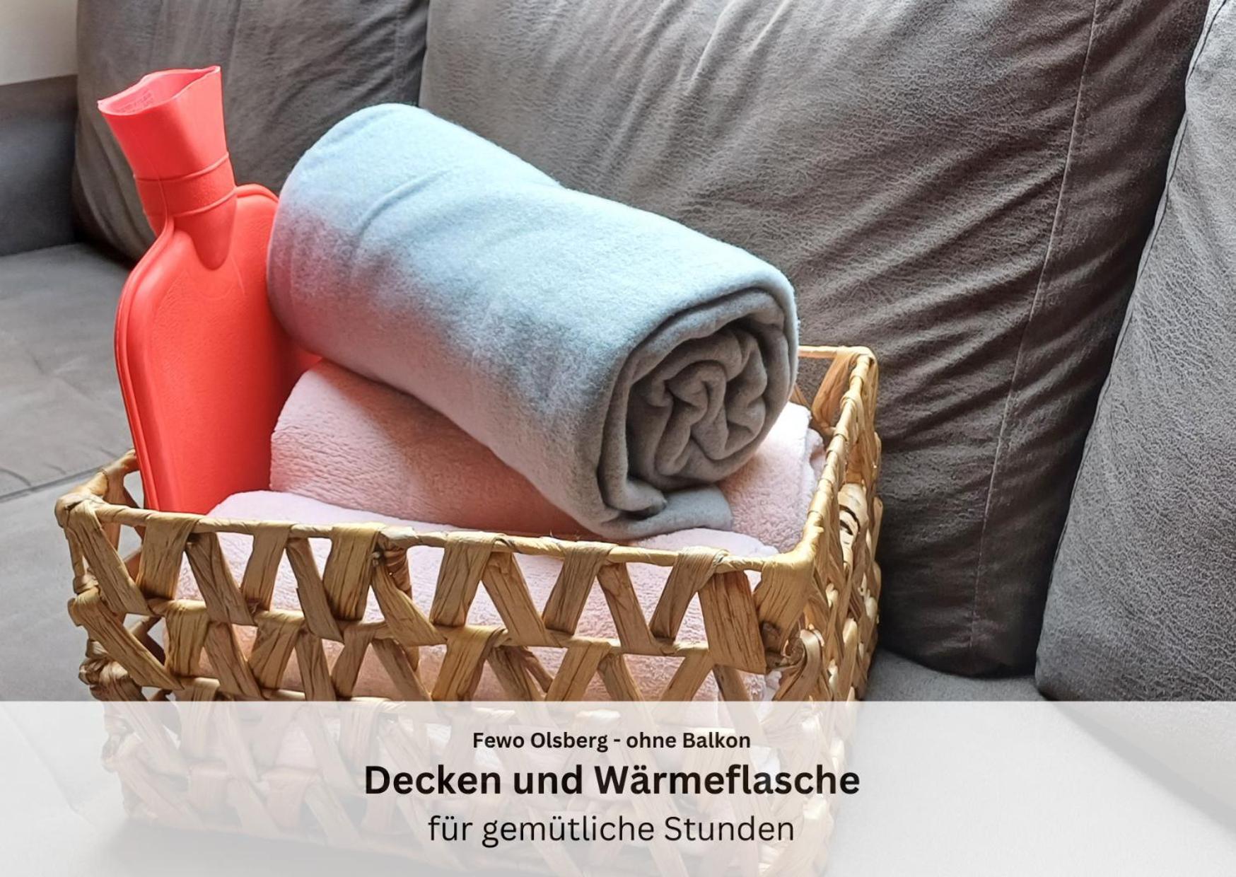 Ferienwohnungen Sauerland Und オルスベルク エクステリア 写真