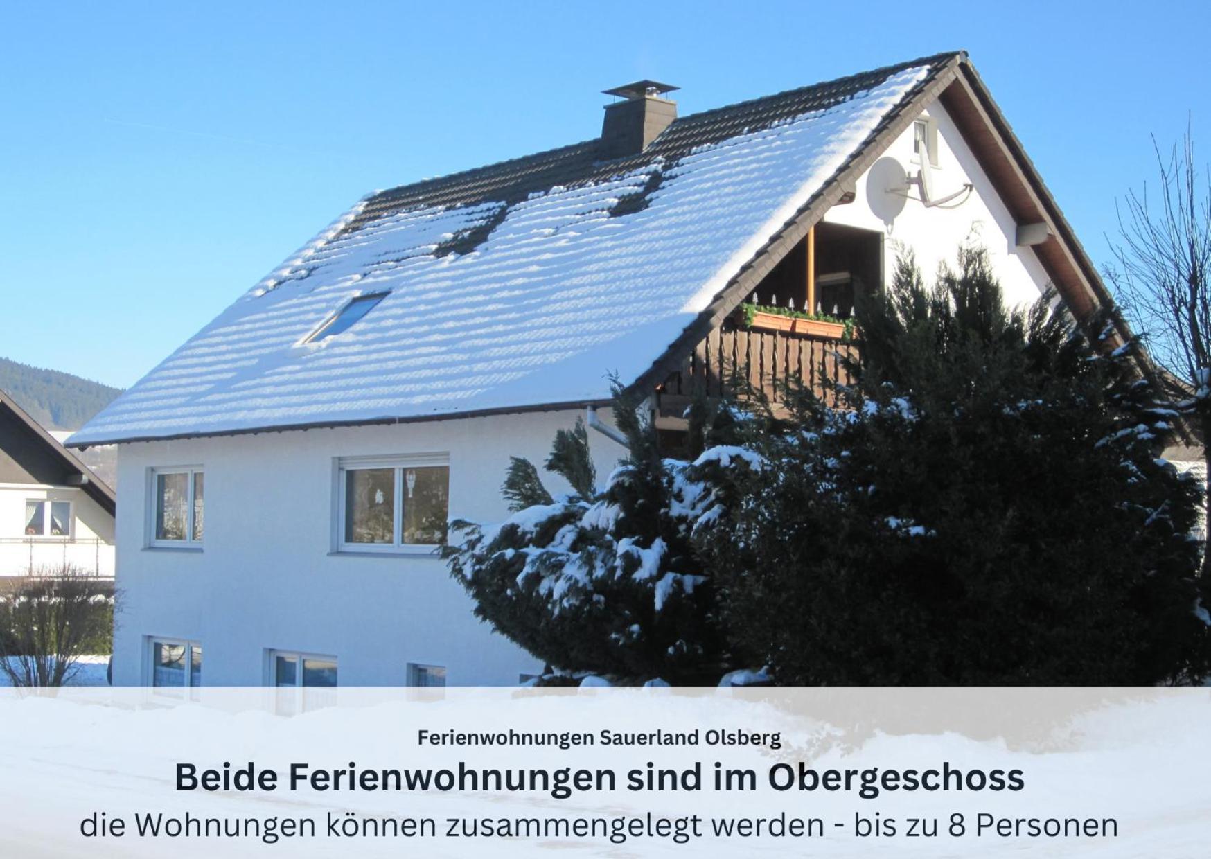 Ferienwohnungen Sauerland Und オルスベルク エクステリア 写真
