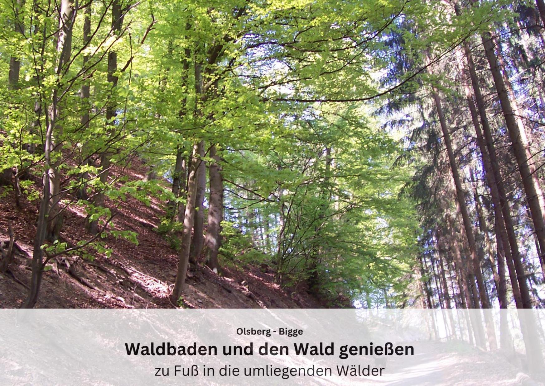 Ferienwohnungen Sauerland Und オルスベルク エクステリア 写真